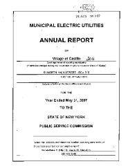 Municipal electric utilities annual report of the Village of Castile to the Public Service Commission, 2007