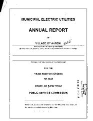 Municipal electric utilities annual report of the Village of Akron to the Public Service Commission, 2005