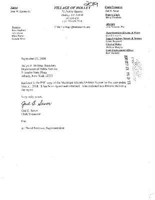 Municipal electric utilities annual report of the Village of Holley to the Public Service Commission, 2008