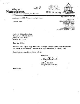 Municipal electric utilities annual report of the Village of Skaneateles to the Public Service Commission, 2008