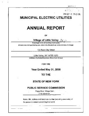 Municipal electric utilities annual report of the Village of Little Valley to the Public Service Commission, 2008