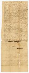 Probated will of Thomas Thorn, 1767