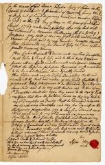 Probated will of Lyndia Coley, 1769