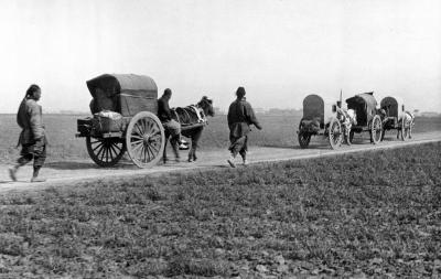 Four Peking carts on the road near Tsining, China