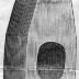 Union Label. Journeymen's Horseshoers Union of New York State